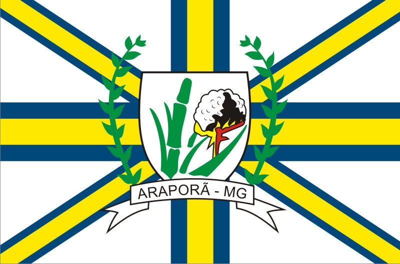 Bandeira de Araporã