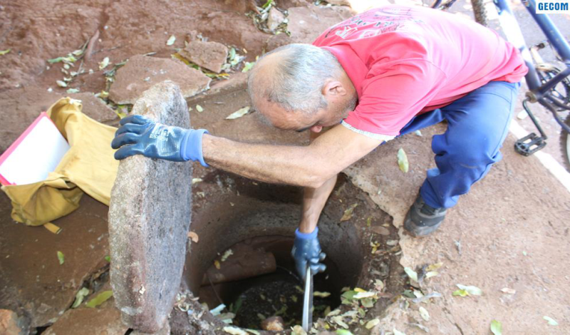 Imagem destaque notícia SUPERINTENDÊNCIA DE SAÚDE EMITE ALERTA SOBRE APARECIMENTO DE ESCORPIÕES