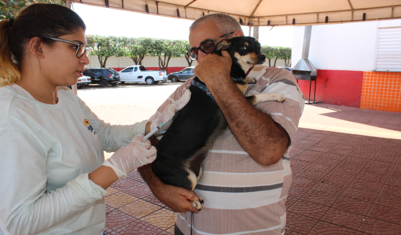 Imagem destaque notícia VACINAÇÃO DE CÃES E GATOS NA PRAÇA DR. ANTÔNIO HÉLIO DE CASTRO