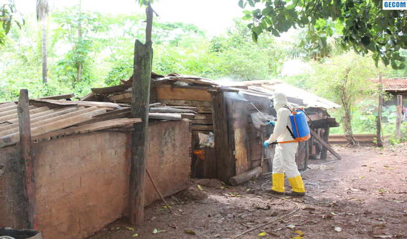 Imagem destaque notícia SAÚDE REALIZA CONTROLE DE INSETOS BARBEIROS NAS PROPRIEDADES RURAIS