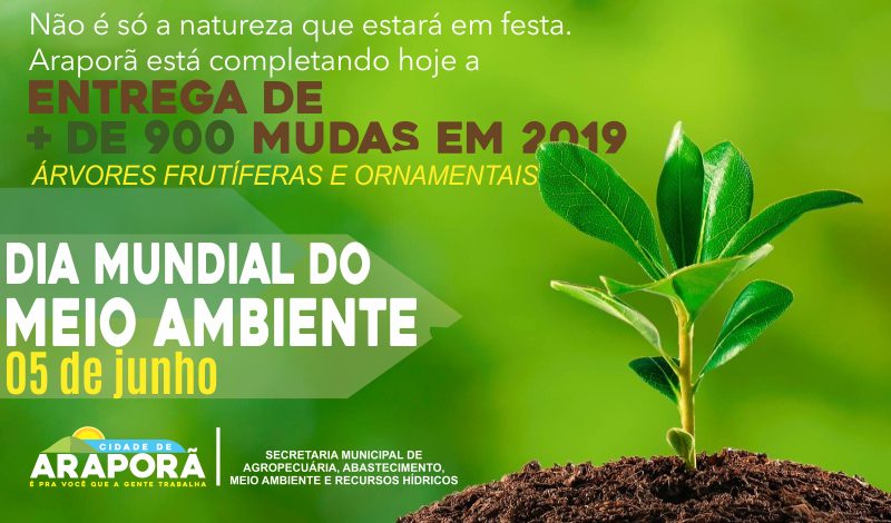Imagem destaque notícia PREFEITURA ESTIMULA O PLANTIO DE ÁRVORES