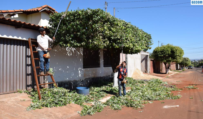Imagem destaque notícia PREFEITURA REALIZA PODA NAS ÁRVORES NA CIDADE