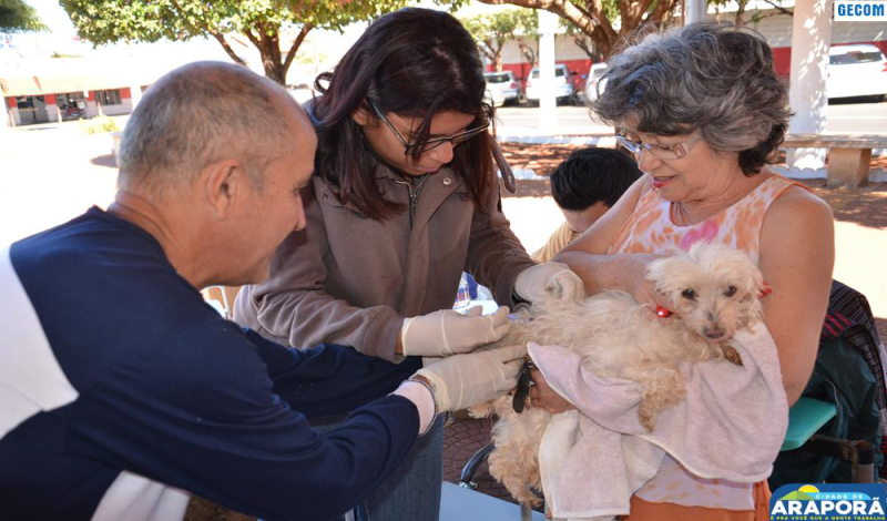 Imagem destaque notícia Vigilância Epidemiológica inicia campanha de vacinação antirrábica