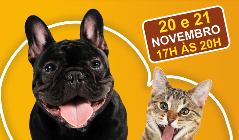 Imagem destaque notícia ESTENDIDO PRAZO PARA VACINAÇÃO ANTIRRÁBICA EM HORÁRIO ALTERNATIVO