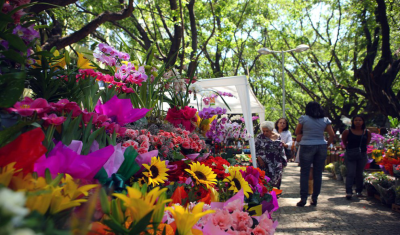 Imagem destaque notícia ARAPORÃ RECEBE FEIRA DE FLORES