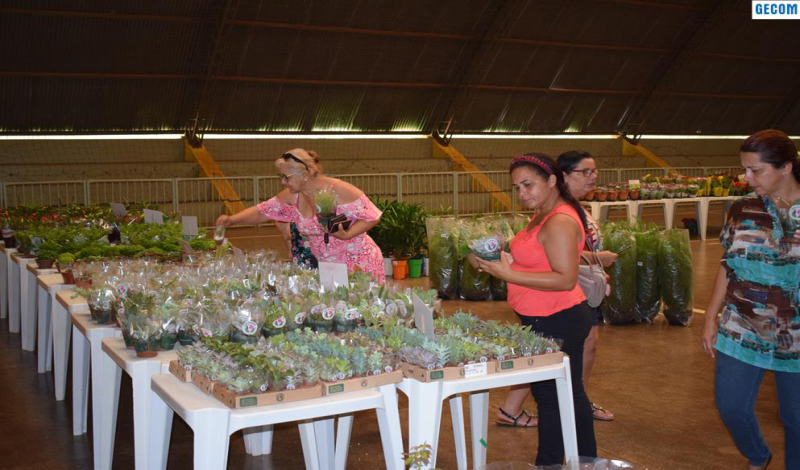 Imagem destaque notícia FEIRA DE FLORES DE HOLAMBRA JÁ RECEBEU MAIS DE MIL PESSOAS