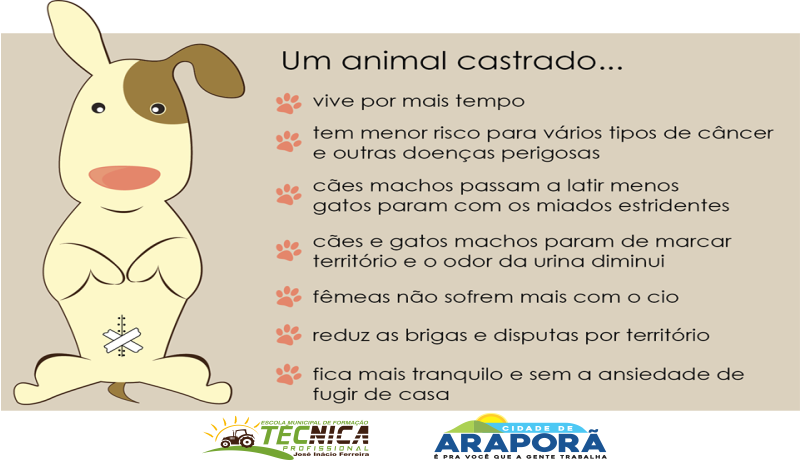 Imagem destaque notícia Alunos e professores da Escola Técnica realizam esterilização de animais, em atendimento à comunidade