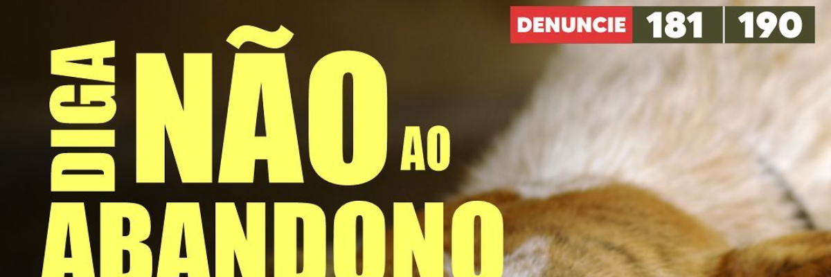 Imagem destaque notícia ABANDONO DE ANIMAIS É CRIME!