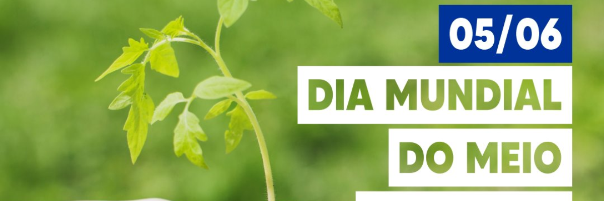 Imagem destaque notícia 5 DE JUNHO - DIA MUNDIAL DO MEIO AMBIENTE / DIA NACIONAL DA RECICLAGEM