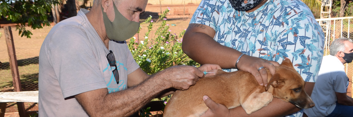 Imagem destaque notícia VISA ENCERRA VACINA&Ccedil;&Atilde;O ANTIRR&Aacute;BICA NA ZONA RURAL
