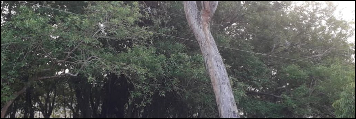 Imagem destaque notícia DMAE ESCLARECE FALTA D’ÁGUA NESTE SÁBADO
