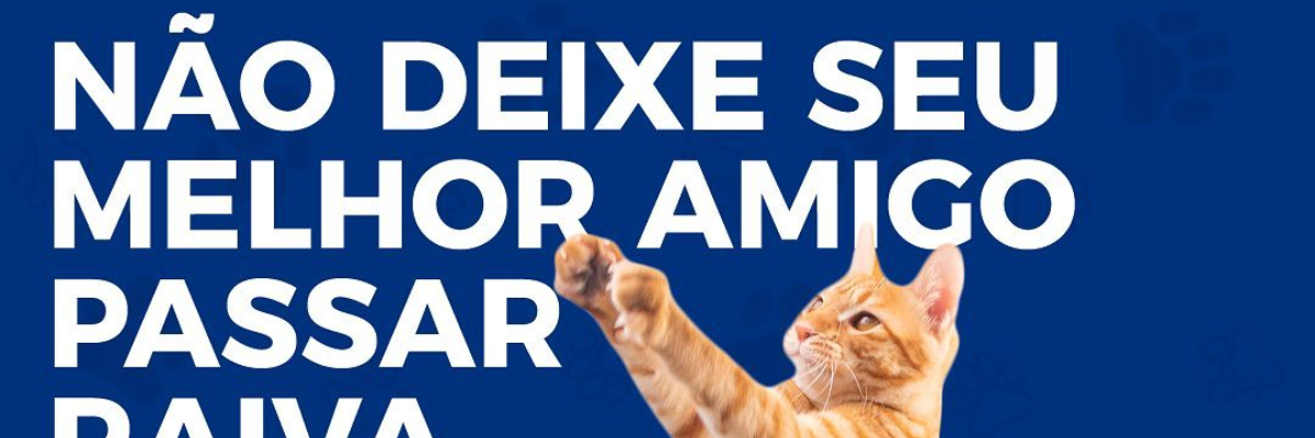 Imagem destaque notícia VACINA&Ccedil;&Atilde;O CONTRA A RAIVA NO BAIRRO PALMEIRAS