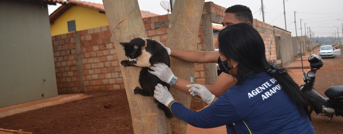 Imagem destaque notícia VIGIL&Acirc;NCIA SANIT&Aacute;RIA E EPIDEMIOL&Oacute;GICA MANT&Eacute;M VACINA ANTIRR&Aacute;BICA