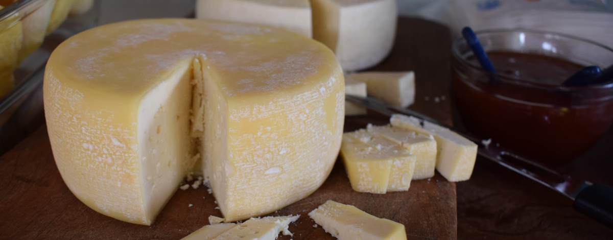 Imagem destaque notícia PARA CONHECER E SE INSPIRAR: PRODUTORAS RURAIS NA ROTA DO QUEIJO