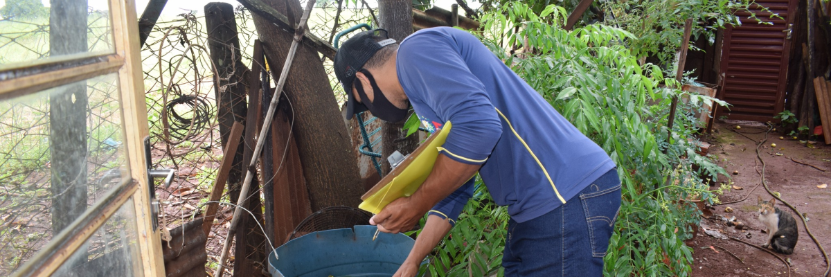 Imagem destaque notícia DENGUE TAMB&Eacute;M DEVE SER MOTIVO DE PREOCUPA&Ccedil;&Atilde;O