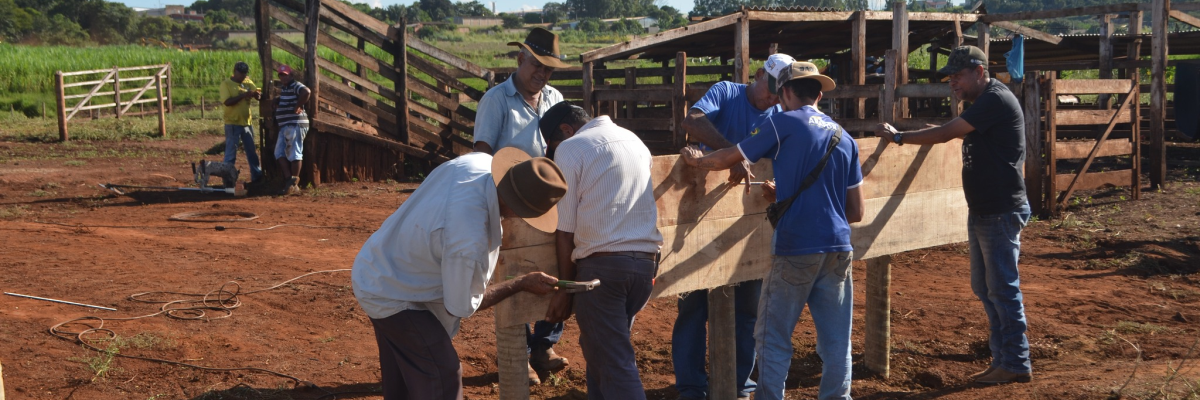 Imagem destaque notícia COMEÇAM A CHEGAR COMITIVAS PARA A CAVALGADA SOLIDÁRIA