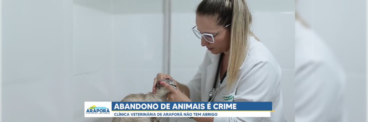 Imagem destaque notícia ABANDONO DE ANIMAIS É CRIME E PODE DAR ATÉ CINCO ANOS DE PRISÃO