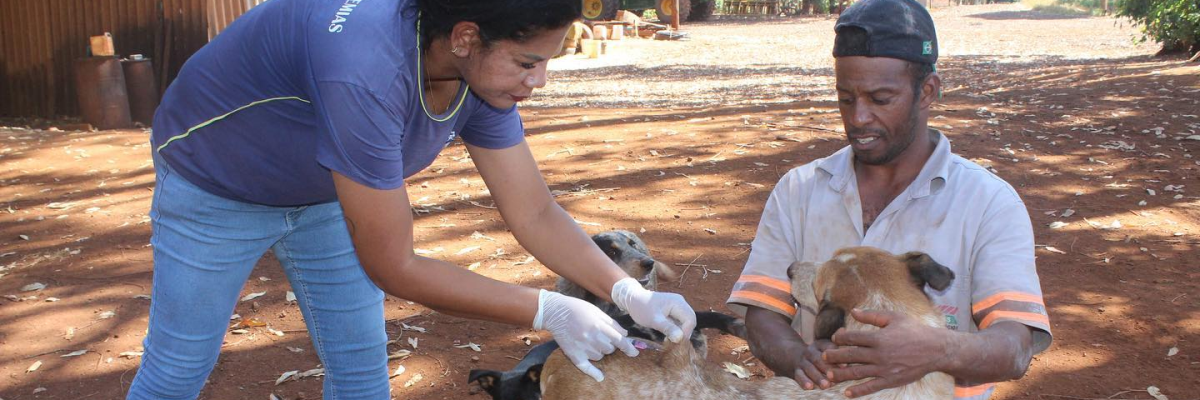 Imagem destaque notícia A VACINA CONTRA RAIVA JÁ CHEGOU PARA OS AMIGUINHOS DA ZONA RURAL! 02/08/2023