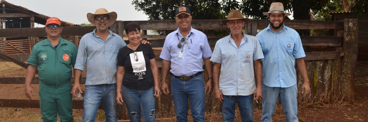 Imagem destaque notícia ARAPORÃ INICIA PROTOCOLO PARA MELHORAMENTO GENÉTICO DO REBANHO BOVINO