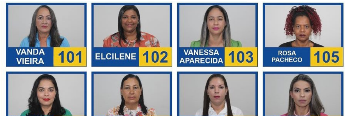 Imagem destaque notícia ESTÃO ELEITAS AS CONSELHEIRAS TUTELARES DE ARAPORÃ (2024-2027)
