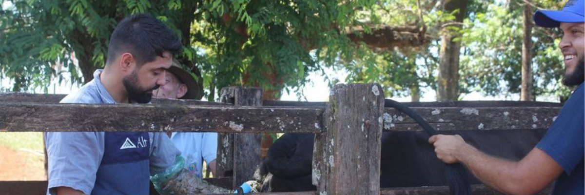 Imagem destaque notícia A REVOLUÇÃO DA PECUÁRIA EM ARAPORÃ: INSEMINAÇÃO ARTIFICIAL GRATUITA VAI IMPULSIONAR LUCRATIVIDADE DOS PEQUENOS PRODUTORES