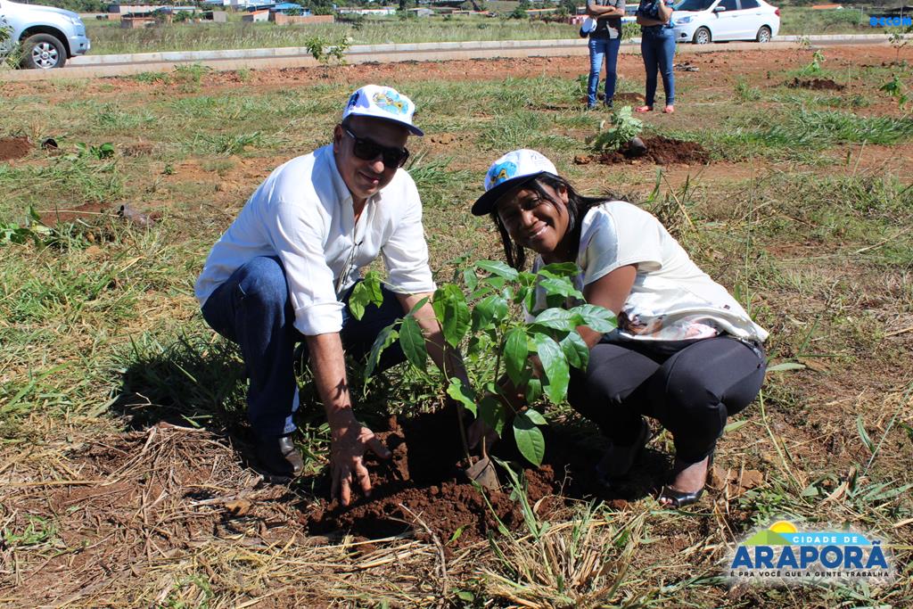 Imagem destaque notícia Recuperação de Área Degradada é executada na Semana do Meio Ambiente