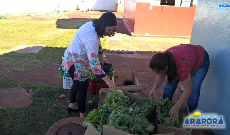 Imagem destaque notícia Comunidade e unidades de ensino recebem doação da produção da horta da Escola Olintha