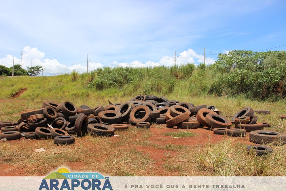 Imagem destaque notícia Mais de 10 toneladas de carcaça de pneus é retirada do aterro