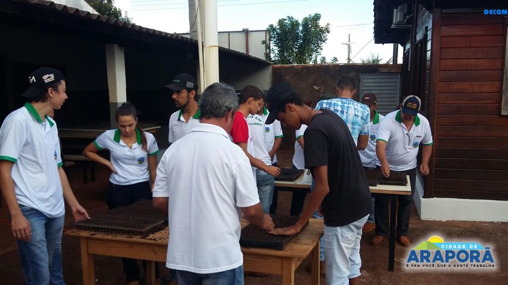 Imagem destaque notícia Escola T&eacute;cnica inicia produ&ccedil;&atilde;o de mudas de hortali&ccedil;as para doa&ccedil;&atilde;o